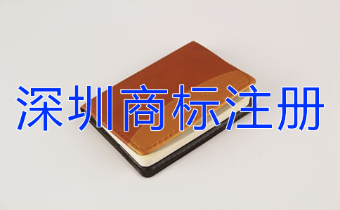專業(yè)代理深圳商標(biāo)注冊設(shè)計